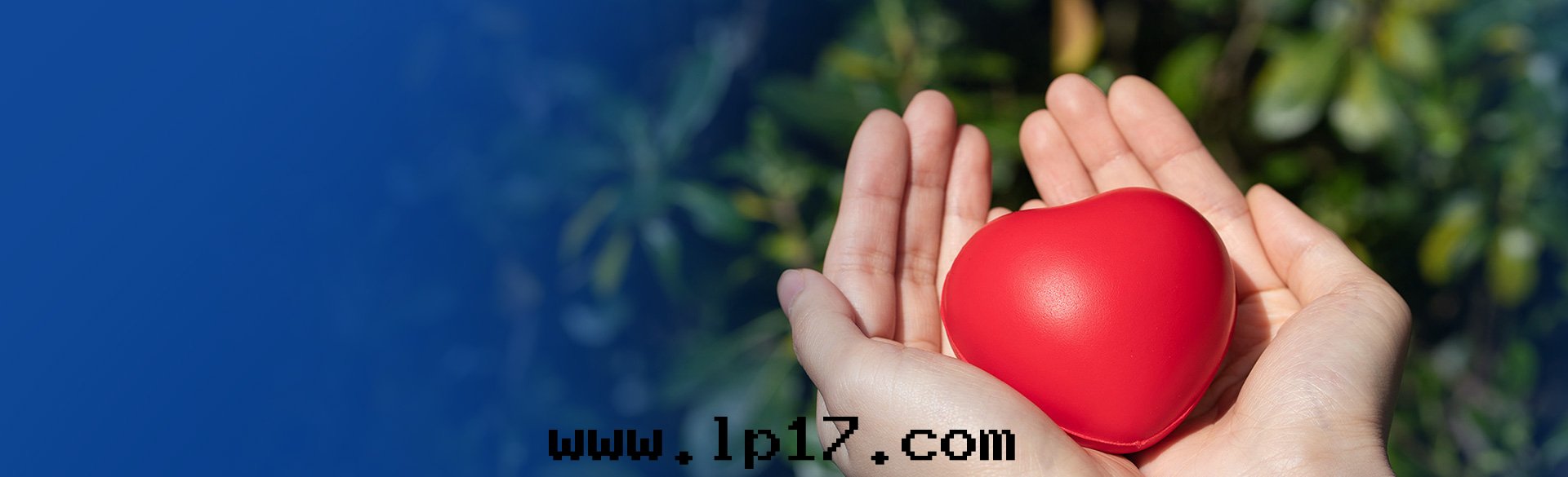 加入(rù)我(wǒ)们(men)